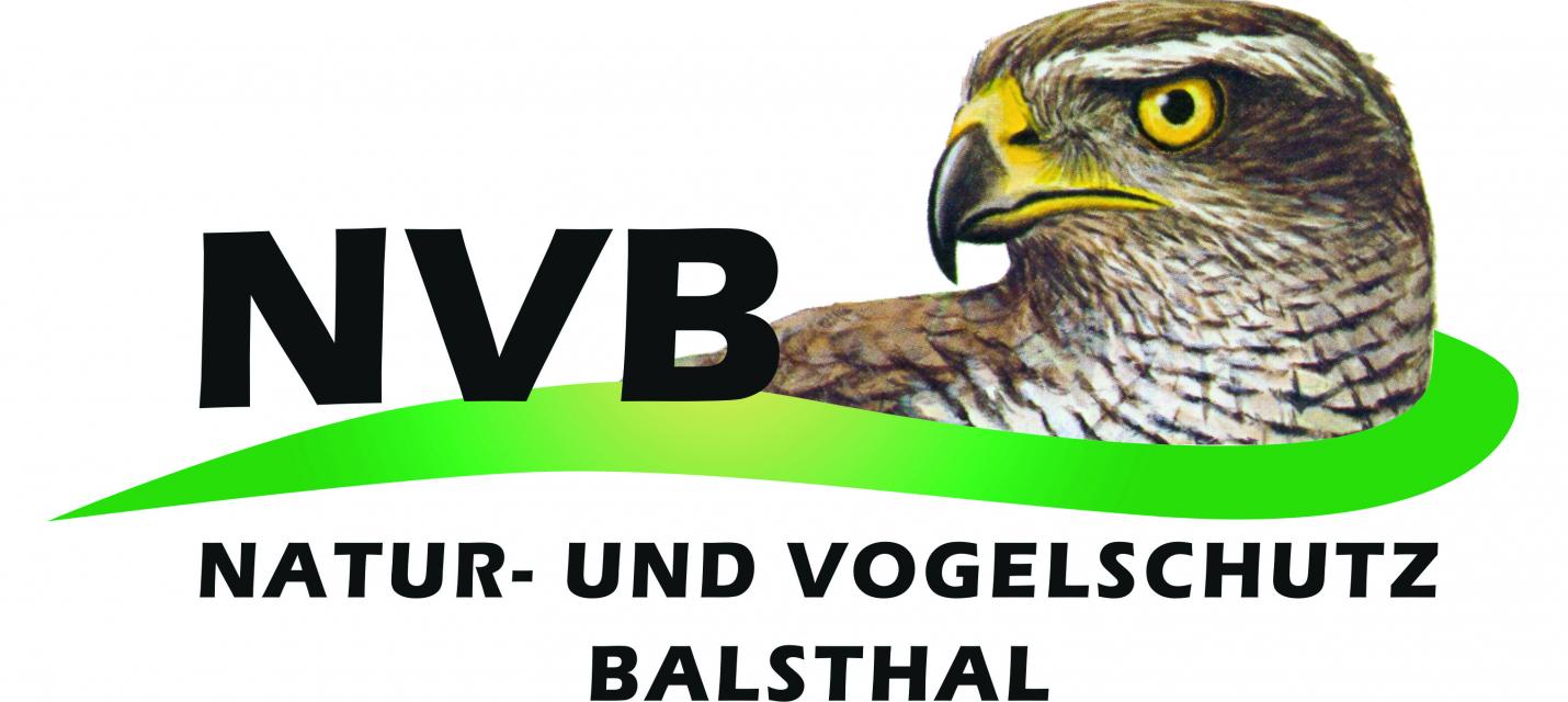 NVB Logo